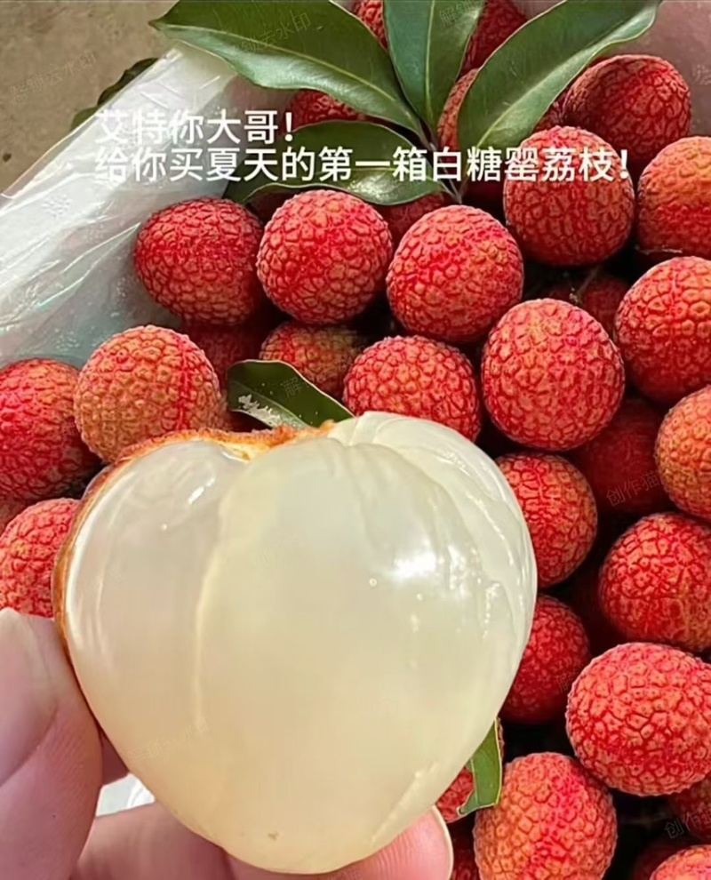精品白糖罂
