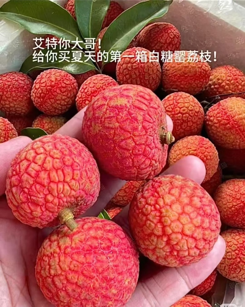 精品白糖罂