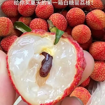 精品白糖罂