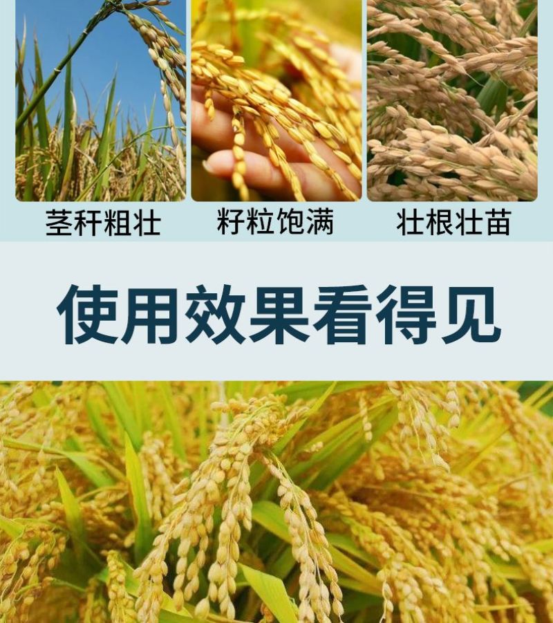 农盛水稻高产配方肥源头厂家直发品质保障量大优惠