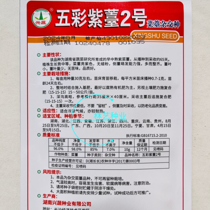 五彩紫苔2号红菜苔种子早中熟65天无蜡粉无苦味紫红
