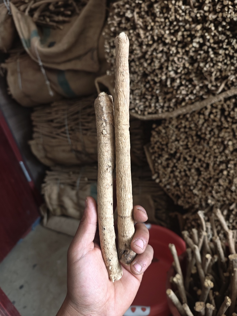 甘肃岷县黄芪节子菊花芯岷县主根泡水无硫无熏染泡水煲汤