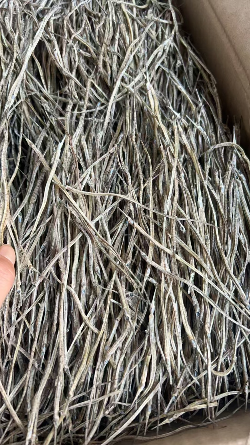 新货海龙干直条海龙弯曲海龙泡酒中药材自家晾晒一手货源