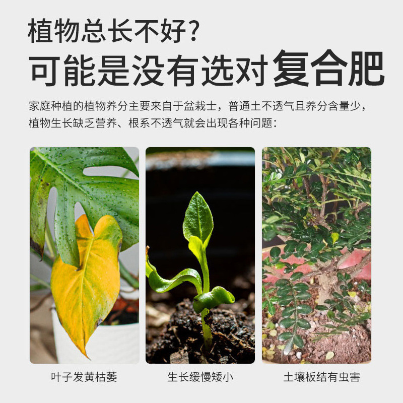 源头厂家极速发货不烧根不烧苗品质保障量大优惠