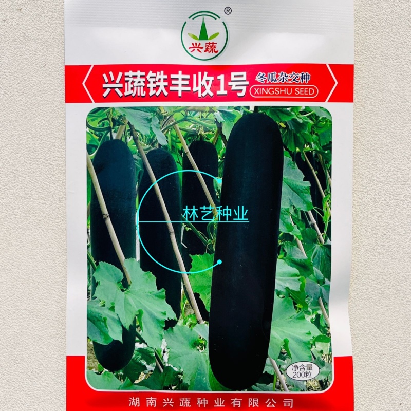 兴蔬铁丰收1号冬瓜种子墨绿色长圆柱杂交黑皮东瓜种籽空腔小