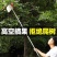 摘水果神器伸缩杆高空采摘杨梅枇杷果子摘果器摘水果摘果