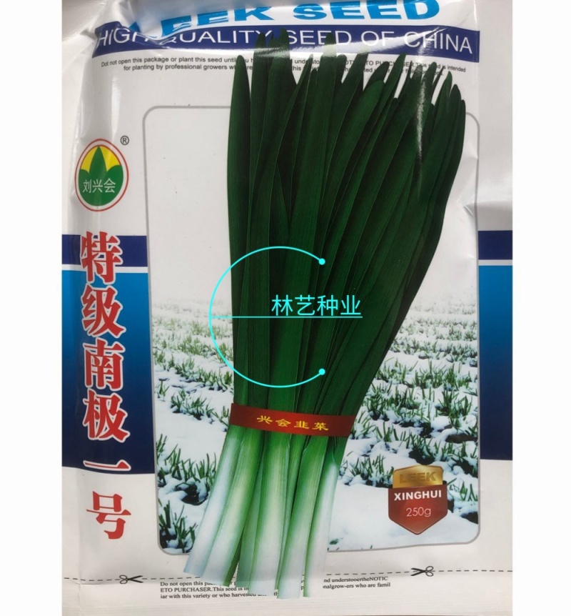 特级南极一号抗寒特强韭菜种子冬季不休眠韭菜籽种叶宽深绿