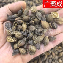 批发连翘药用连翘规格齐全青翘水煮青连翘干连翘无柄净货