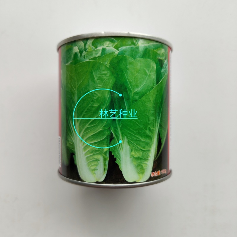 旋风快菜种子小白菜籽速生高产耐热耐湿夏冬季四季青蔬菜