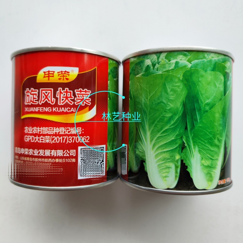 旋风快菜种子小白菜籽速生高产耐热耐湿夏冬季四季青蔬菜