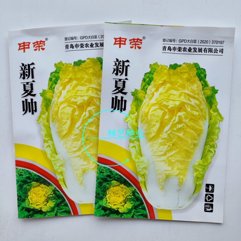 新夏帅快菜种子小白菜籽速生高产耐热耐湿春夏秋季四季青蔬菜