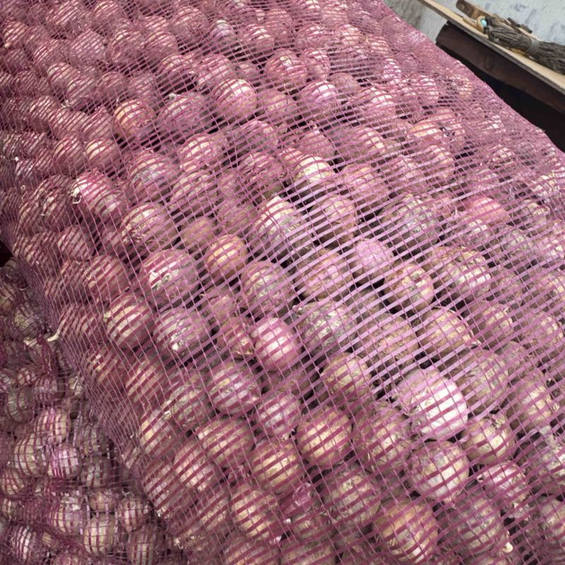 各种规格独头蒜