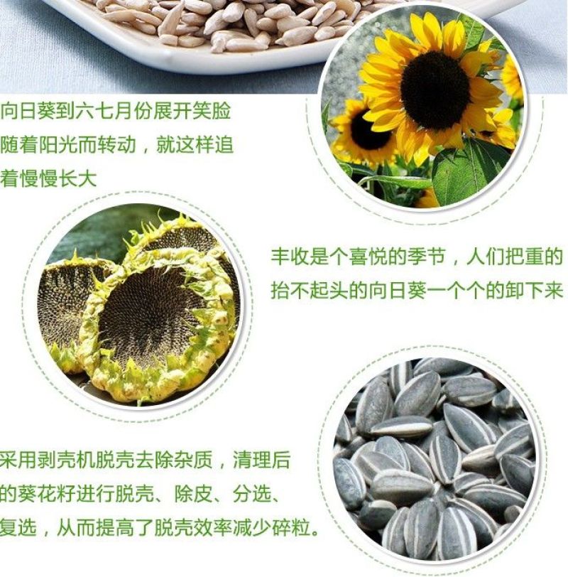 包邮）5斤批发价现炒生熟原味油葵仁葵仁烘焙榨油原料无壳