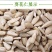 包邮）5斤批发价现炒生熟原味油葵仁葵仁烘焙榨油原料无壳