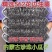 新货批发油葵562小油葵散装油葵生瓜子零食瓜子批发