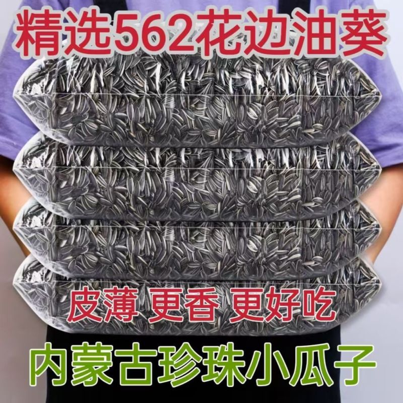 新货批发油葵562小油葵散装油葵生瓜子零食瓜子批发