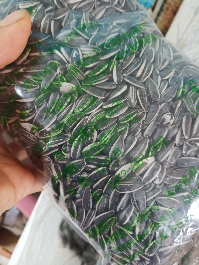 新货批发油葵562小油葵散装油葵生瓜子零食瓜子批发