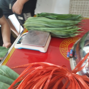 隆回粽叶//