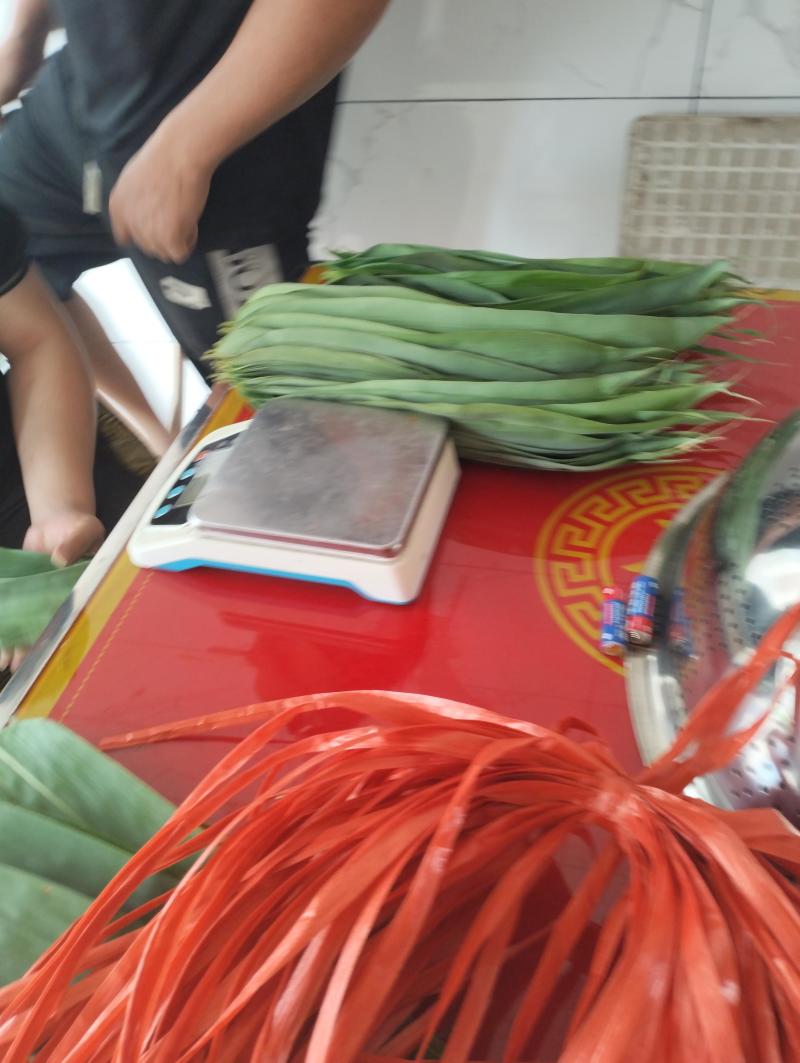 隆回粽叶//