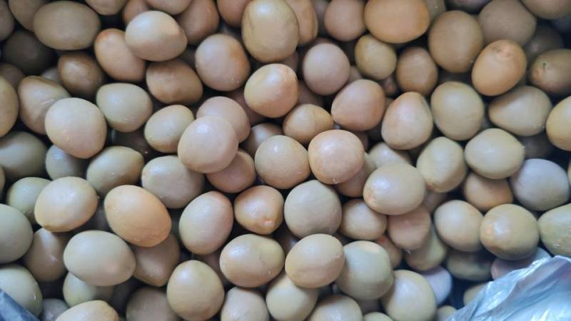 【新鲜直供】大托叶云实，颗颗饱满，纯野生