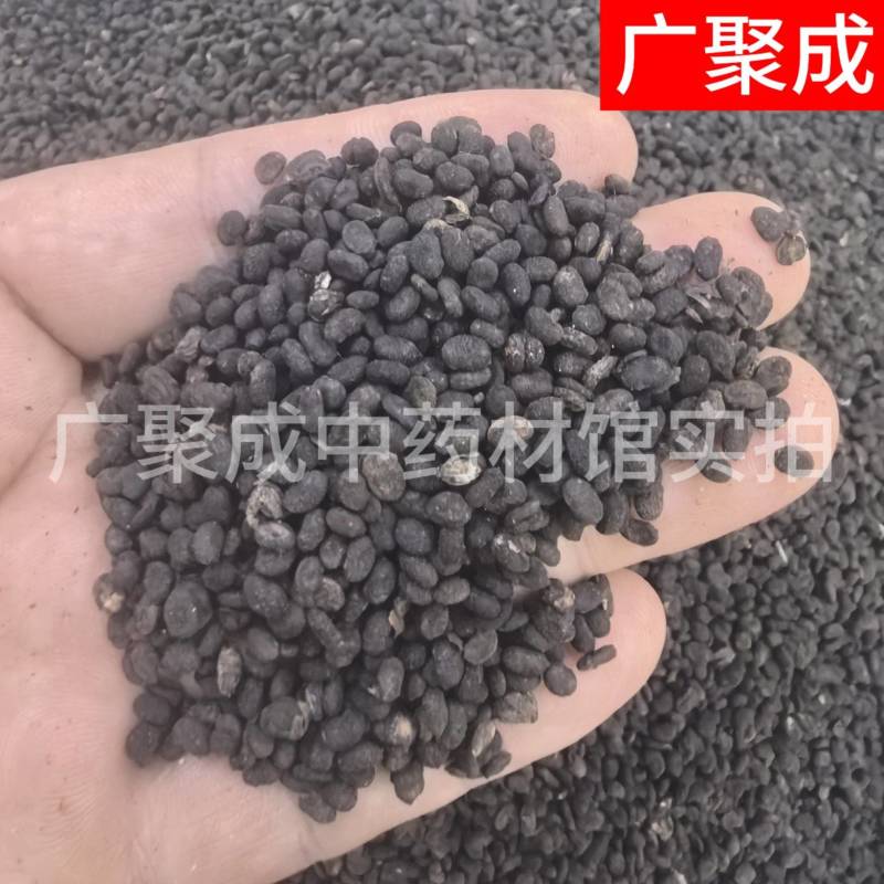 补骨脂故子破古子破故纸陈货中药材批发过风车过筛干净货