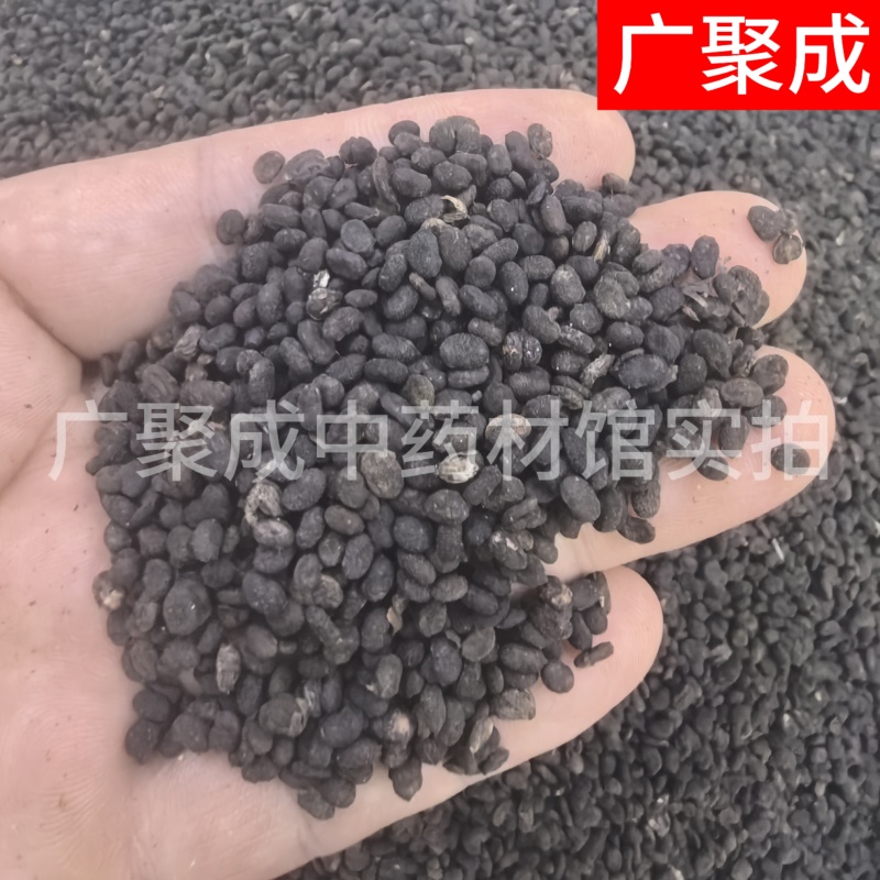补骨脂故子破古子破故纸陈货中药材批发过风车过筛干净货