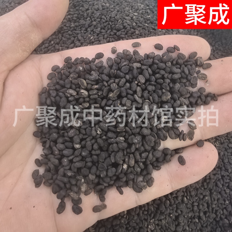 补骨脂故子破古子破故纸陈货中药材批发过风车过筛干净货