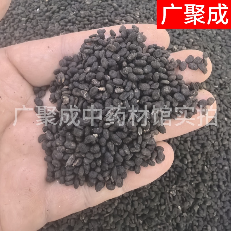 补骨脂故子破古子破故纸陈货中药材批发过风车过筛干净货