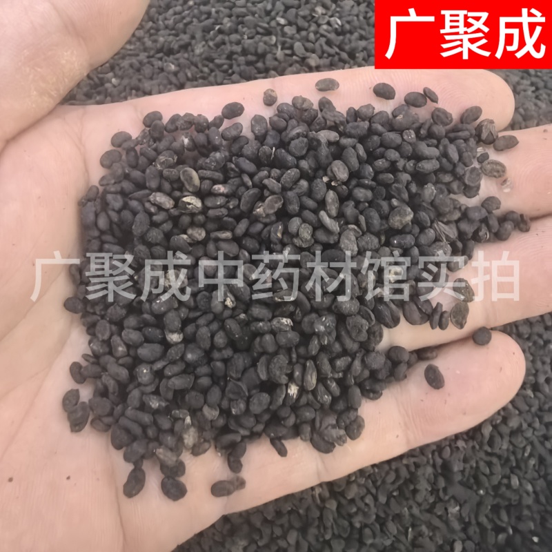 补骨脂故子破古子破故纸陈货中药材批发过风车过筛干净货