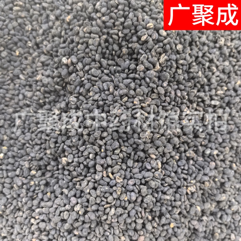 补骨脂故子破古子破故纸陈货中药材批发过风车过筛干净货