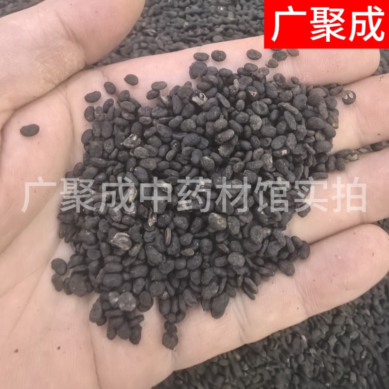 补骨脂故子破古子破故纸陈货中药材批发过风车过筛干净货