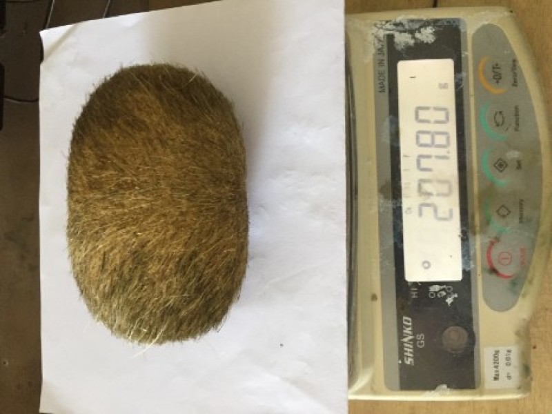 猪宝