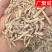 山麦冬非川麦冬全干中药材批发规格齐全新货