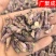 甘肃陇西款冬花新货干货冬花统货选货纯花头药典标准