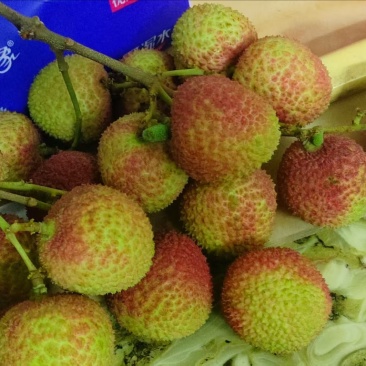电白妃子白糖婴