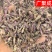 甘肃陇西款冬花新货干货冬花统货选货纯花头药典标准