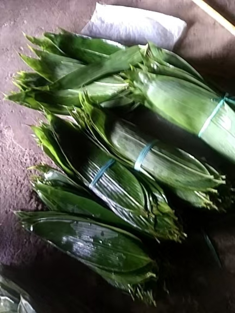 新鲜粽叶按片算