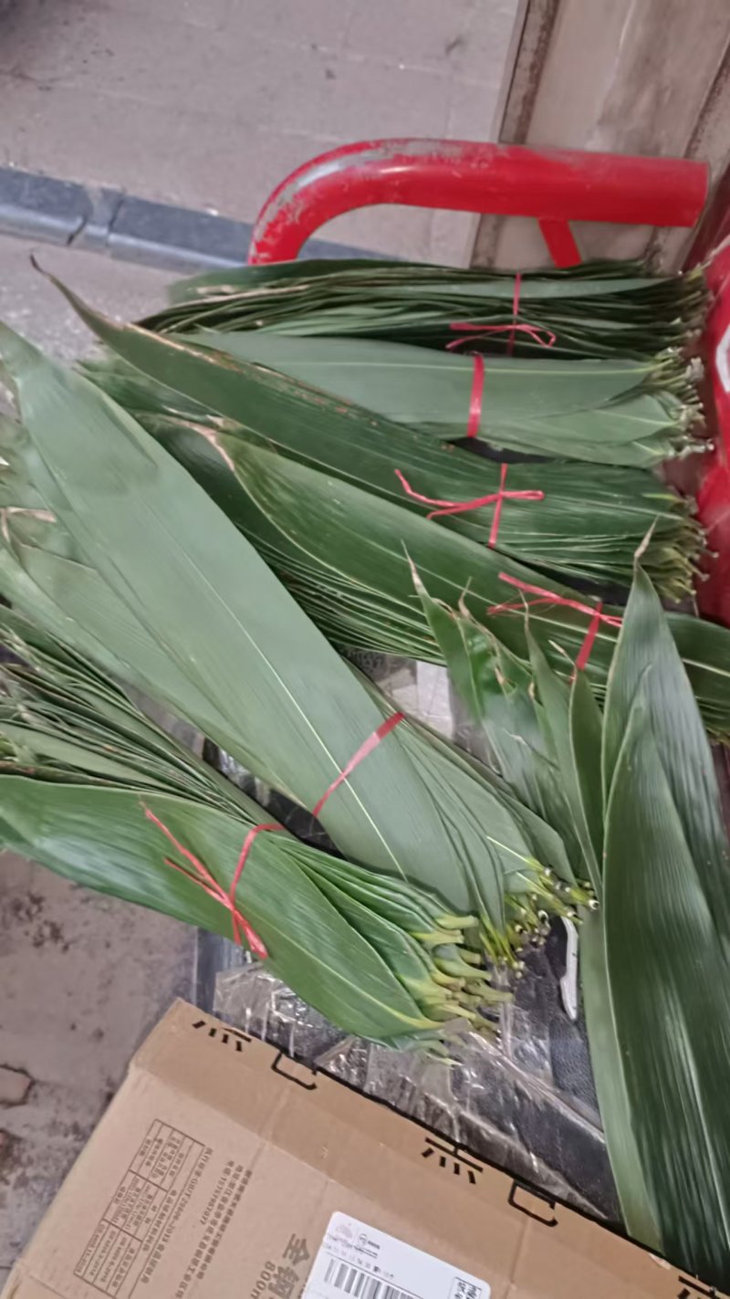 新鲜粽叶按片算