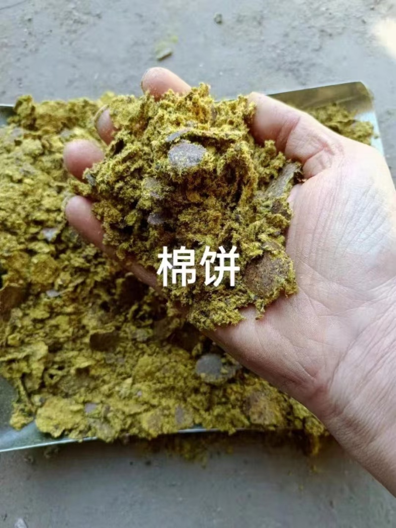 新疆一手棉饼，棉粕，，养殖育肥，种地施肥