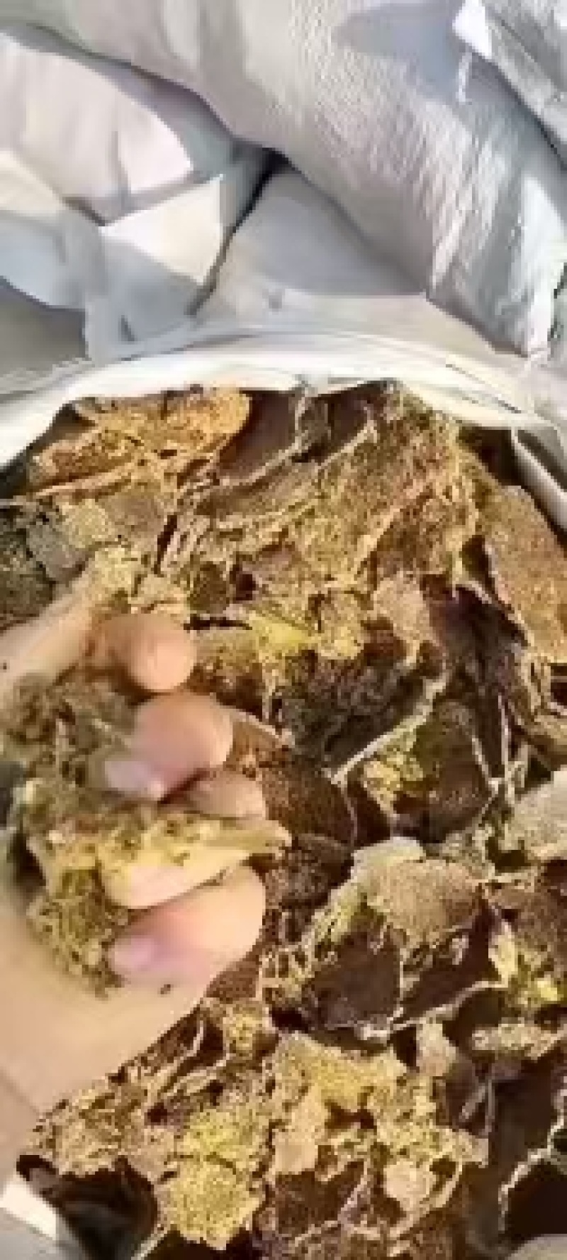 新疆一手棉饼，棉粕，，养殖育肥，种地施肥