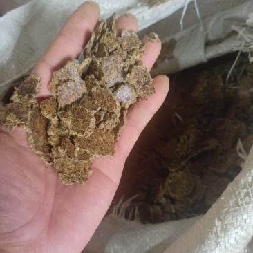 新疆一手棉饼，棉粕，，养殖育肥，种地施肥