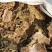 新疆一手棉饼，棉粕，，养殖育肥，种地施肥