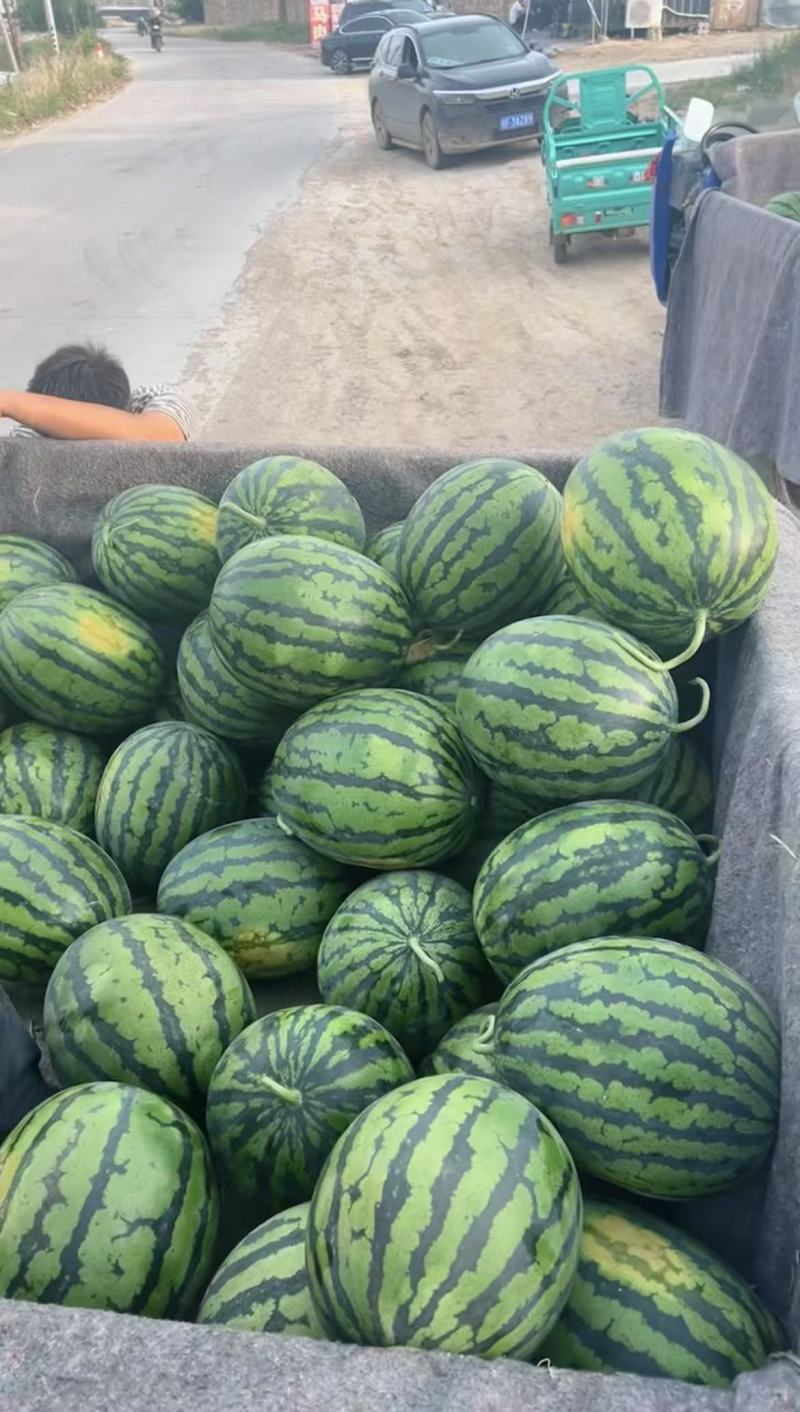 精品甜王西瓜产地直供供超市电商平台全国发货