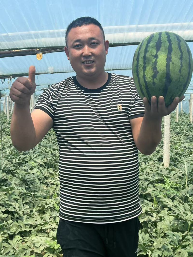 精品甜王西瓜产地直供供超市电商平台全国发货