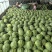 陕西无籽美都西瓜无籽麒麟西瓜糖度13+对接全国