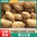 精品黄心土豆、表皮光滑，可支持-电商货-市场货-出口货等
