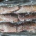 去头去尾鲤鱼