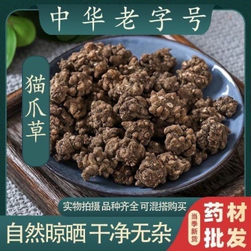 正品猫爪草中药野生新鲜正品中药材抓草水洗精选包邮猫爪草