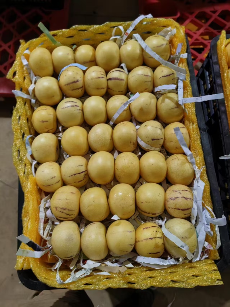 云南人参果树熟果精品选果一级果二级果产地代办
