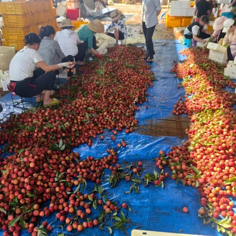 甜到心坎